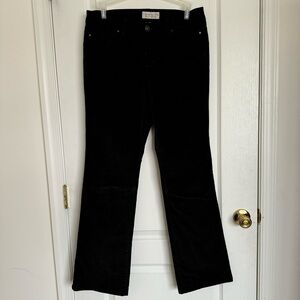 Live life by sanctuary Black Women's Pant Trouser Size 10 velour